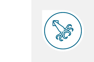 cefalopodos-ico