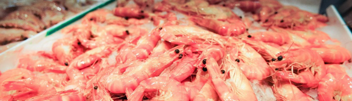 langostino