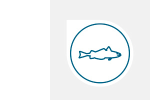 merluza-ico