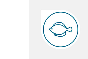 rodaballo-ico