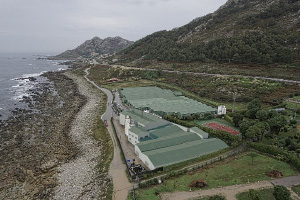 rodaballo3