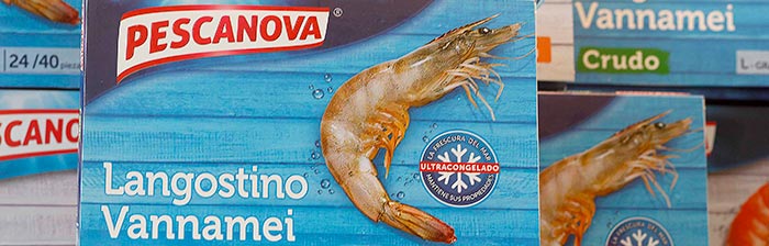 CAMANICA