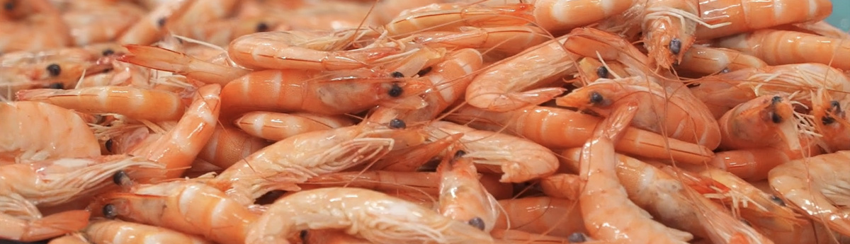 langostino