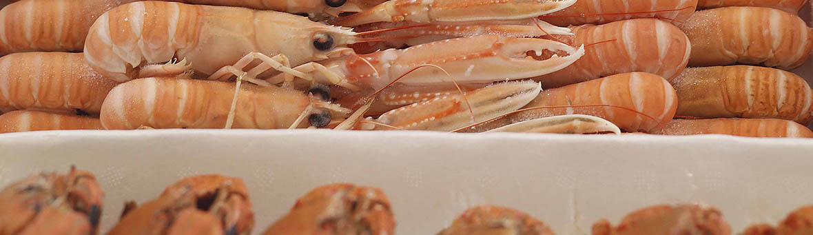 mariscos pescanova