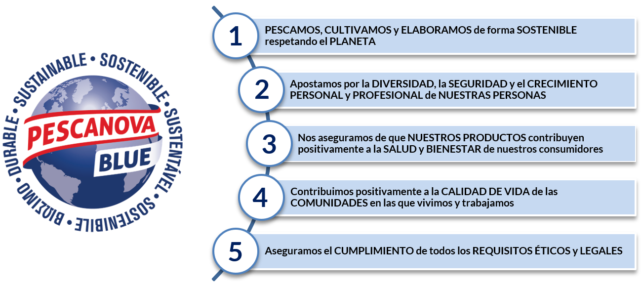 Principios PN Blue (ES)